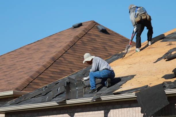 Best Wood Shake Roofing  in Red Lake Falls, MN