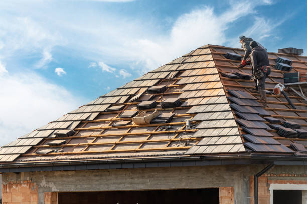 Best Roof Maintenance and Cleaning  in Red Lake Falls, MN